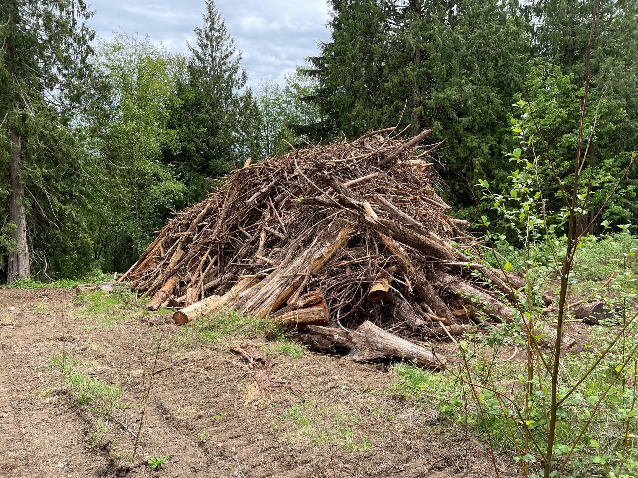 Brush ready to be hauled to the dumpsite by one of our commercial trucks