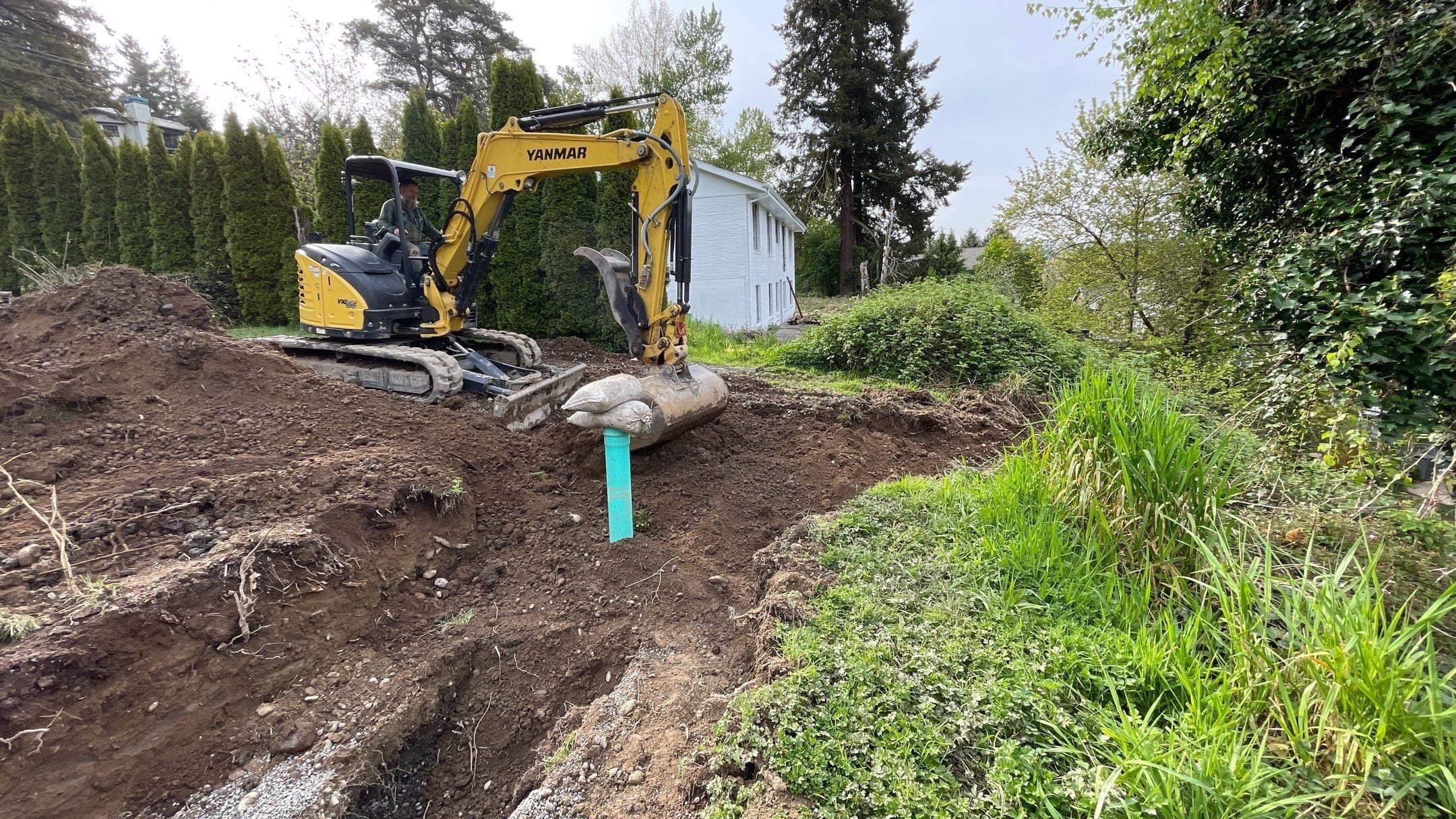 Excavator clearing brush.
